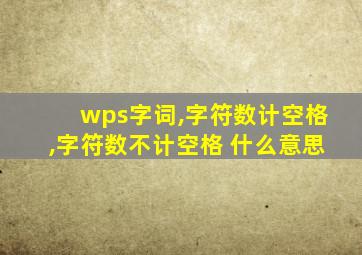 wps字词,字符数计空格,字符数不计空格 什么意思